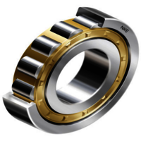Cylindrical Roller Bearings