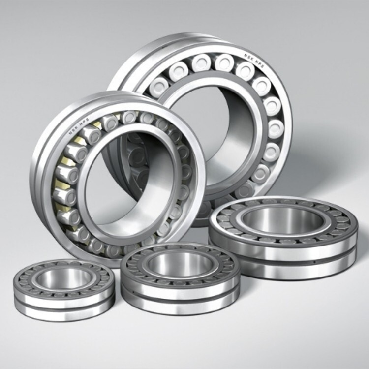 Flexible Roller Bearings - Bore Size: 80.00 Mm
