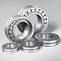 Flexible Roller Bearings