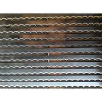 S62 Ss Slicer Blade - Stainless Steel, 12 Inches Size, Silver Color, Available Thickness Options
