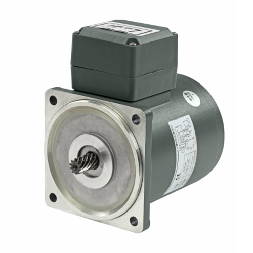 Variable Speed Brake Motor