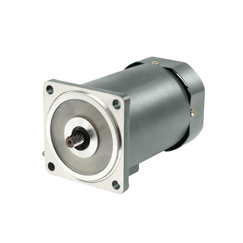 Standard Gear Motor