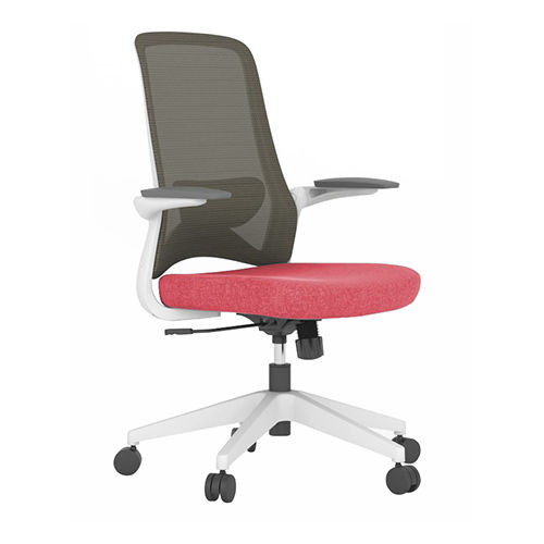 Diff Options Available Dolphin Workstation Chair