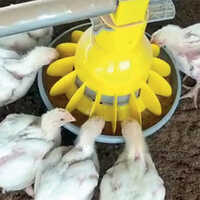 Automatic Pan Feeding System - Durable Plastic, Different Sizes Available, Various Color Options | Semi-automatic Poultry Feeder Design