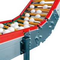 Poultry Egg Transport Conveyor System