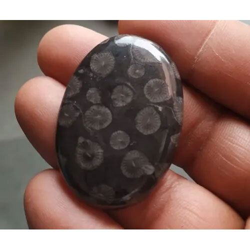 Black fossil coral stone gemstone cabochon