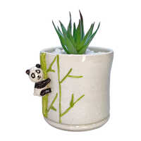 Panda Bamboo Planter - High-quality Ceramic, Various Dimensions Available, Multicolor Design, Polished Finish For Home And Garden Decoration