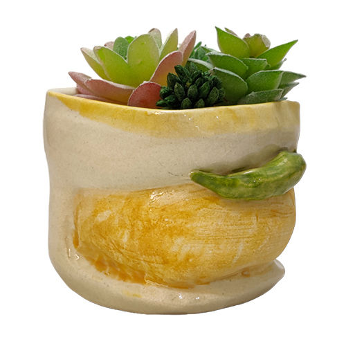 Vadapav Planter