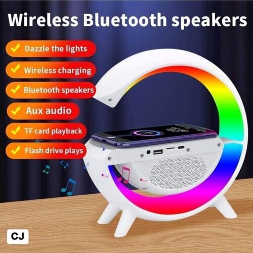 Google AK301 Wireless Speaker