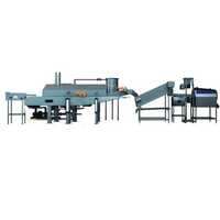 High Voltage Semi Automatic Potato Chips Line - Stainless Steel, 500 Kg/hr, Silver Color, 600 Kg Weight , Semi-automatic Operation, Durable And Low Maintenance