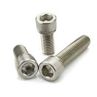 SS Socket Screw