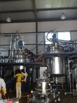 ANNOTTO EXTRACTION PLANT