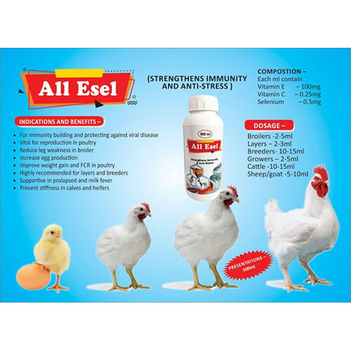 All Esel POULTRY