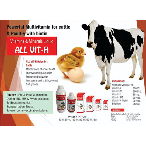 All Vit-H POULTRY