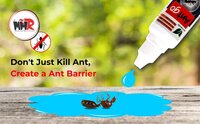 Herbal Ant Repellent