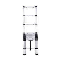 Foldable Aluminium Telescopic Ladder