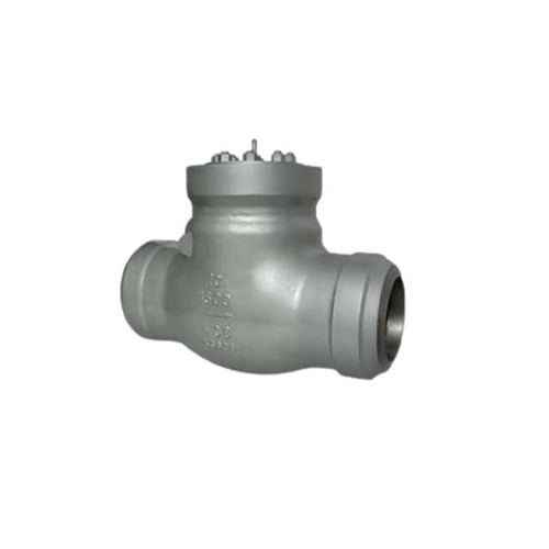 Pressure Seal Check Valve - Customized Port Sizes, Reliable Sealed Performance for Water Applications, Available in Various Sizes and Colors