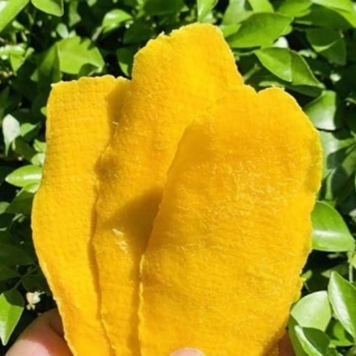 Yellow Soft Dried Mango