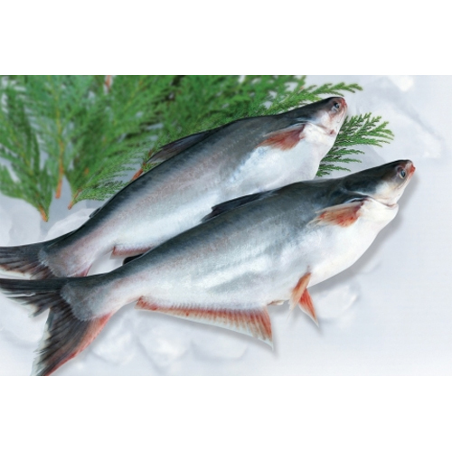 Pangasius Fish - Dried Body Pieces | Custom Weight Per Kilogram