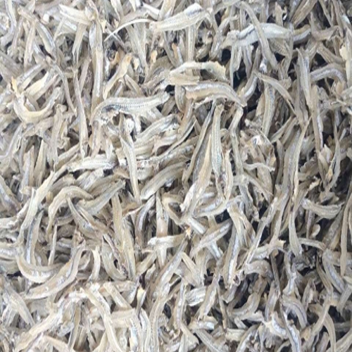 Piece Dried Anchovy