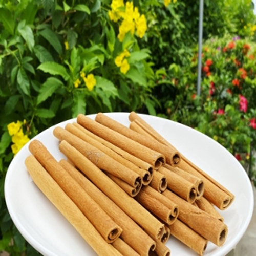 Brown Cinnamomum Cassiacigarette