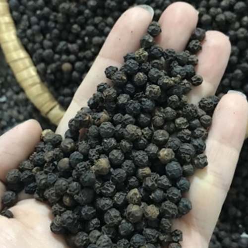 Brown Black Pepper