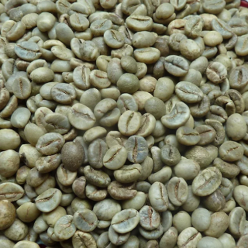 Robusta Screen 18 Wet Polished