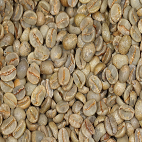 Organic Arabica Screen 13 Wet Polished