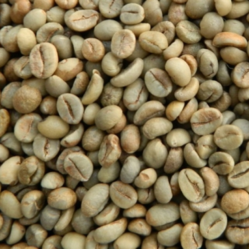 Organic Robusta Screen 13 Wet Polished