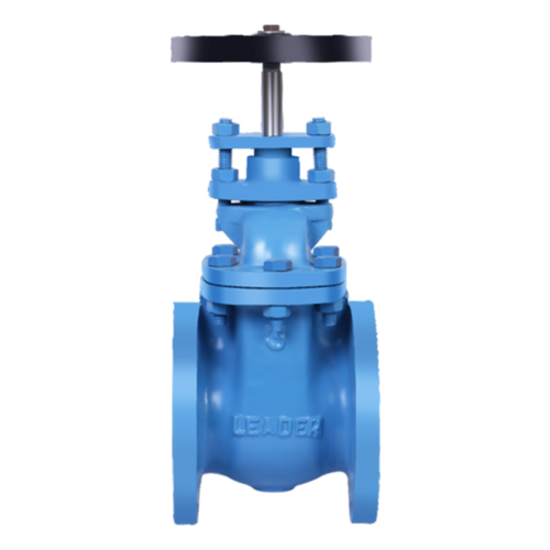 CI004 Cast Iron Gate Valve Class-125 (Flanged)