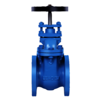 CI010 Cast Iron Gate Valve PN-1.0 (Flanged)