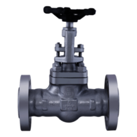 FCS001 Forged Steel Gate Valve Class-600 (Flanged)