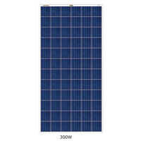 300 W Polycrystalline Solar Panel