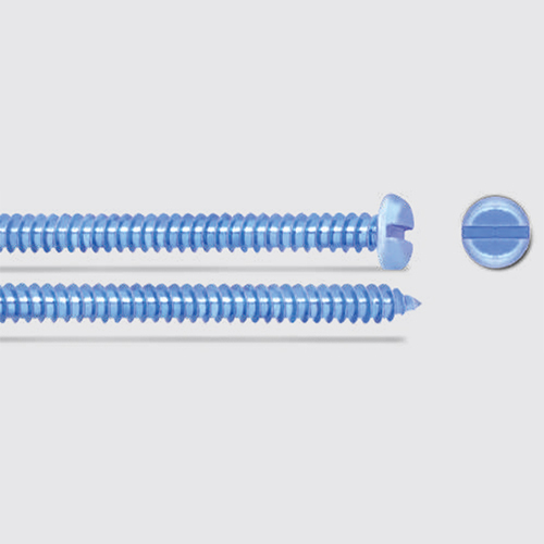 MS Pan-Raised Slotted Self Tapping Screw