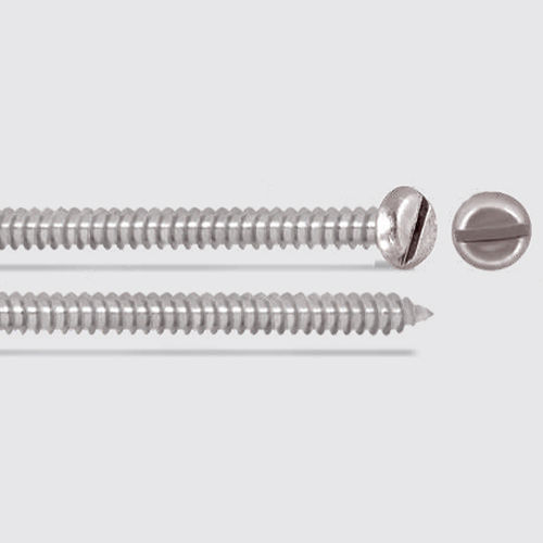 Silver Ss Pan Slotted Self Tapping Screw