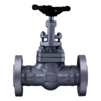 FCS006 Forged Steel Globe Valve Class-600 (Flanged)