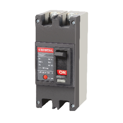 Black Double Pole Circuit Breaker