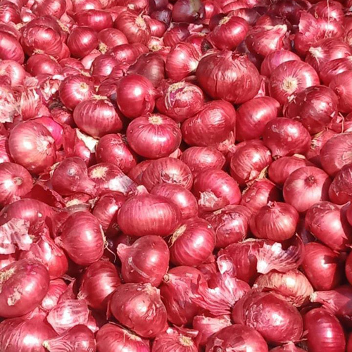 Red Onion