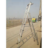 Aluminum Double Platform Ladder