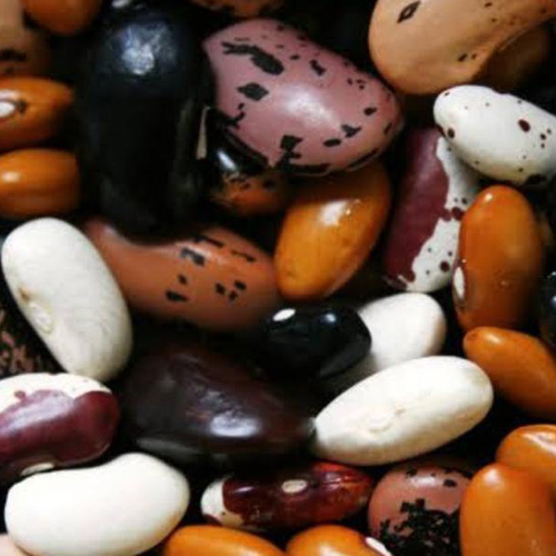 Organic Pahadi Mix Rajma