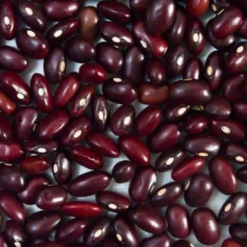 Organic Pahadi Rajma