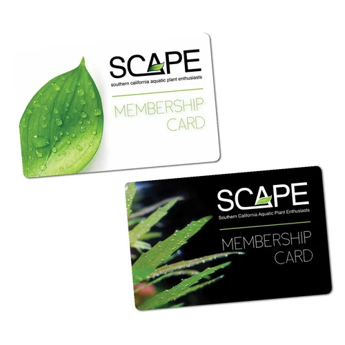 Plastic Membership Cards