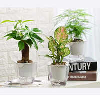 Indoor Self Watering Planters - High-quality Plastic, Various Heights & Weights | Customizable Shapes, Ideal For Indoor Gardening