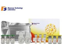 BioAssay Human Heat Shock Protein 70 (HHSP) Elisa Kit