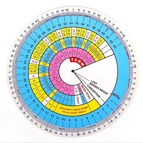 Multicolor Pregnancy Chart And Gestational Calculator