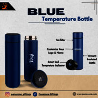 Stainless Steel Blue Temperature Bottle