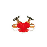 Double Hydrant Valve Application: Fire Protection