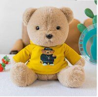 TSHIRT TEDDY SOFT TOYS