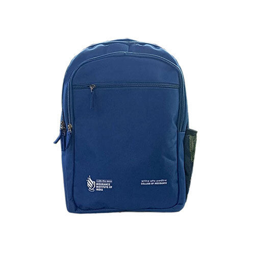 Blue School Backpack