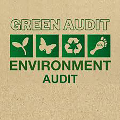 Enviromental Audit Industrial